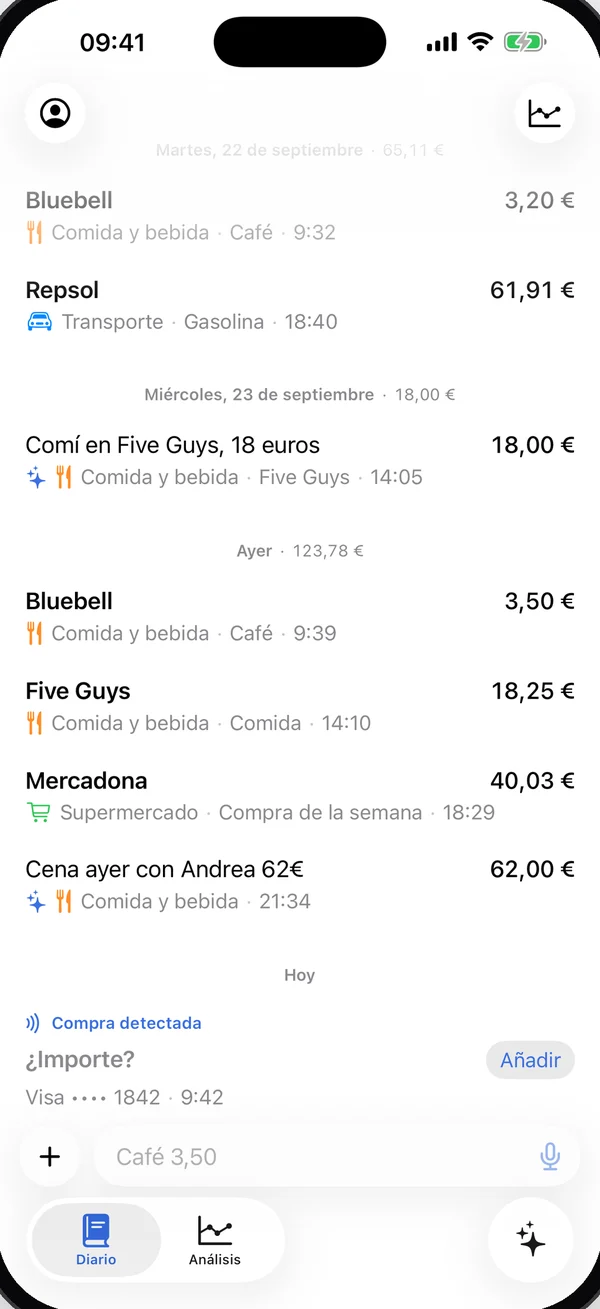 Diario de gastos de Koino